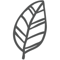 Eco-friendly packagin icon