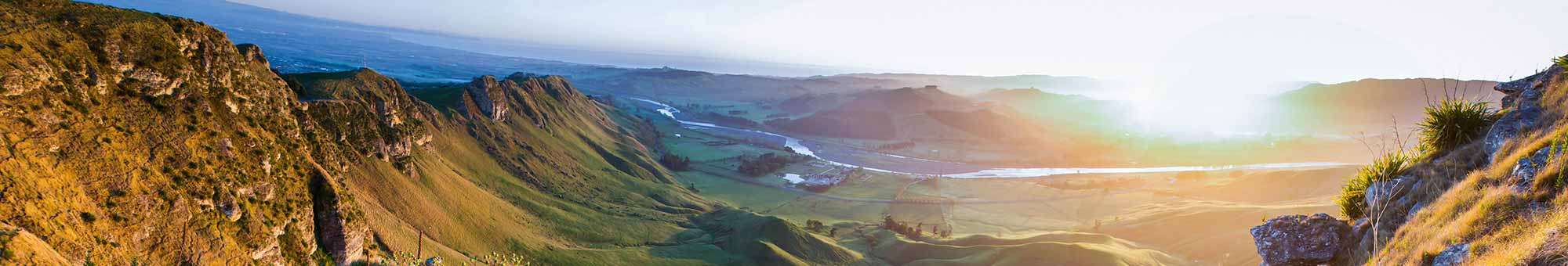 Made Wild Hawkes Bay Shop Banner